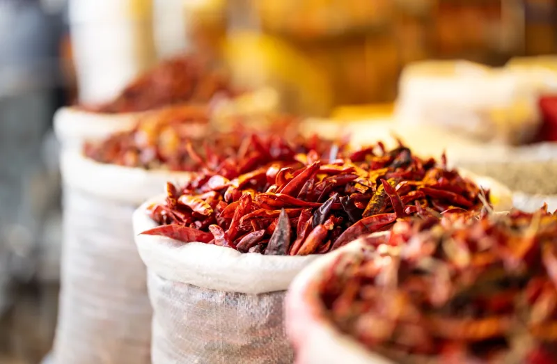 The Aunty Network: Inside the Shadow Supply Chains Feeding Punjabi America