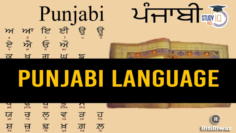The Kitchen as Classroom: How Punjabi Families in America Are Keeping Their Language Alive One Recipe at a Time