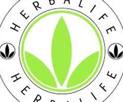 Herbalife products distributor hisar Herbalife Health care products distributor hisar